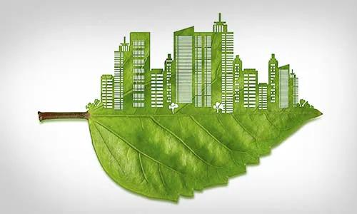 Carbon Footprint Reduction